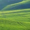 Beautiful spring landscape with green field-Waves and hills with grass in Moravian Tuscany - Kyjov