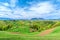 Beautiful spring landscape , panoramic concept