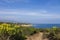 a beautiful spring landscape at Point Dume beach with blue ocean water, lush green trees and plants, homes along the cliffs, waves