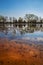 Beautiful spring landscape. pond with smooth clear water and sandy bottom. Trees are reflected in the water.