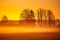 A beautiful spring landscape with rising sun through the mist. Sun shining over misty rural landscape.