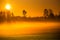 A beautiful spring landscape with rising sun through the mist. Sun shining over misty rural landscape.