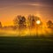 A beautiful spring landscape with rising sun through the mist. Sun shining over misty rural landscape.