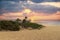 a beautiful spring landscape at Sandy Beach with blue ocean water, silky brown sand, people relaxing, palm trees, blue sky and