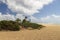 a beautiful spring landscape at Sandy Beach with blue ocean water, silky brown sand, people relaxing, palm trees, blue sky and