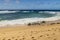 a beautiful spring landscape at Sandy Beach with blue ocean water, silky brown sand, rocks