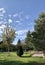 Beautiful spring landscape. School park. Trees, sky, beautiful weather, summer, spring, landscape.