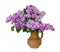 Beautiful spring lilac bouquet in clay vase