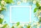 Beautiful spring nature background with lovely blossom, petal a on turquoise blue background , top view, frame. Springtime concept