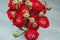 Beautiful spring red and green buttercup ranunculus bouquet of flowers on a white background macro