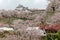 Beautiful spring scenery of a majestic Japanese castle surrounded by amazing sakura cherry blossoms in Tsuyama, Okayama, Japan