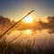 A beautiful spring sunrise scenery with plants growing on the banks of river. Springtime landscape with mist and local flora.