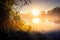 A beautiful spring sunrise scenery with plants growing on the banks of river. Springtime landscape with mist and local flora.