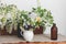 Beautiful spring wildflowers on rustic wooden table. Spring rural still life. Blooming flowers