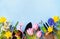 Beautiful springtime border background with gardening tools, colorful spring flowers and butterflies. Top view