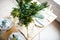 Beautiful springtime table setting with green leaves and mimosa branches, bright white table dinner decoration