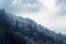 Beautiful spruce forest on hillside with dramatic clouds in background