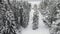 Beautiful spruce snowy forest with a road in the north, aerial view.