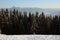 Beautiful spruces covered with snow on the background of sunlit mountains Carpathians