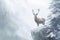 A beautiful stag or deer stands proudly on a cliff in a snowy forest