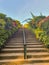 Beautiful stair cover with plants.