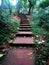 Beautiful stair in the garden with trees