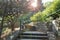 A beautiful staircase with stone steps and a metal lattice among the thickets of trees in a shady Park, the sun shines through the
