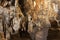 Beautiful Stalactites on the inside Cave of Croatia photo