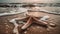 Beautiful starfish on the sand at the beach, foamy sea water