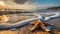 Beautiful starfish on the sand at the beach, foamy sea water