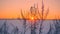 Beautiful static shot view evening horizon amazing frozen winter field landscape