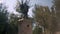 Beautiful statue of angel on memorial with trees as background