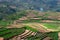 Beautiful step cultivation in Poombarai