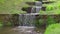 Beautiful stepped waterfall, spring clear water flows through stones stairs among green grass and plants in Slow motion