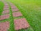 Beautiful stepping stone pathway with green lawn,walkway in the garden, garden landscape design