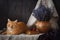 A beautiful still-life with a cat and a bouquet of lavender on a table.