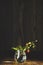 Beautiful still life with perfect sunbeam on branch of wild raw ripe strawberries with leaves in glass jar, dark wooden surface