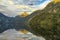 The beautiful still waters of the Milford Sound, New Zealand the surronding mountains covered in dense forests  a seagull flys