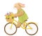 Beautiful stock illustration with watercolor cute bunny boy on bike with basket of flowers.