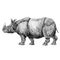 Beautiful stock pencil illustration with safari rhinoceros animal.