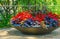 Beautiful stone bowl planter filled with plants and red flowers, summer garden decoration