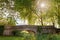 Beautiful stone bridge over a small pond with trees behind on a