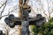 Beautiful stone Jesus Christ crucifixion statue on grave from 19th century during sunset with common ivy in background