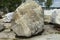 Beautiful stone in the park. A large piece of rock on the street. The cobblestones are prepared for installation in the garden