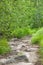 Beautiful stone pathway with tree roots on a hiking track. Wild mountain spring forest with stones and green grass.