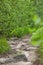 Beautiful stone pathway with tree roots on a hiking track. Wild mountain spring forest with stones and green grass.