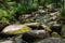 Beautiful stones in a babbling forest stream covered with moss.