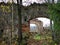 Beautiful stonework. The ruins of the ancient estate of the Korf barons