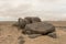 Beautiful stony landscape in the Namib Desert near the Atlantic coast, Namibia