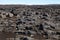 Beautiful stony rocky desert landscape of Iceland